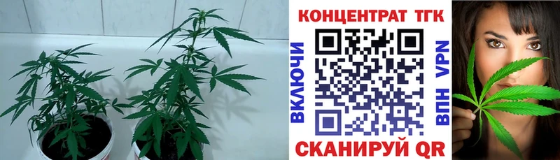Дистиллят ТГК THC oil Асбест