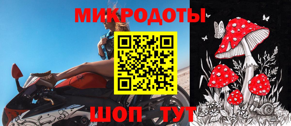 Псилоцибиновые грибы Psilocybine cubensis Асбест