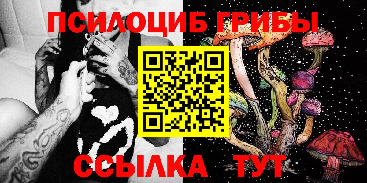 Галлюциногенные грибы Psilocybine cubensis  Галлюциногенные грибы мицелий  Асбест  Вход с VPN 